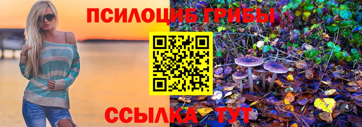 Галлюциногенные грибы Psilocybe Алушта